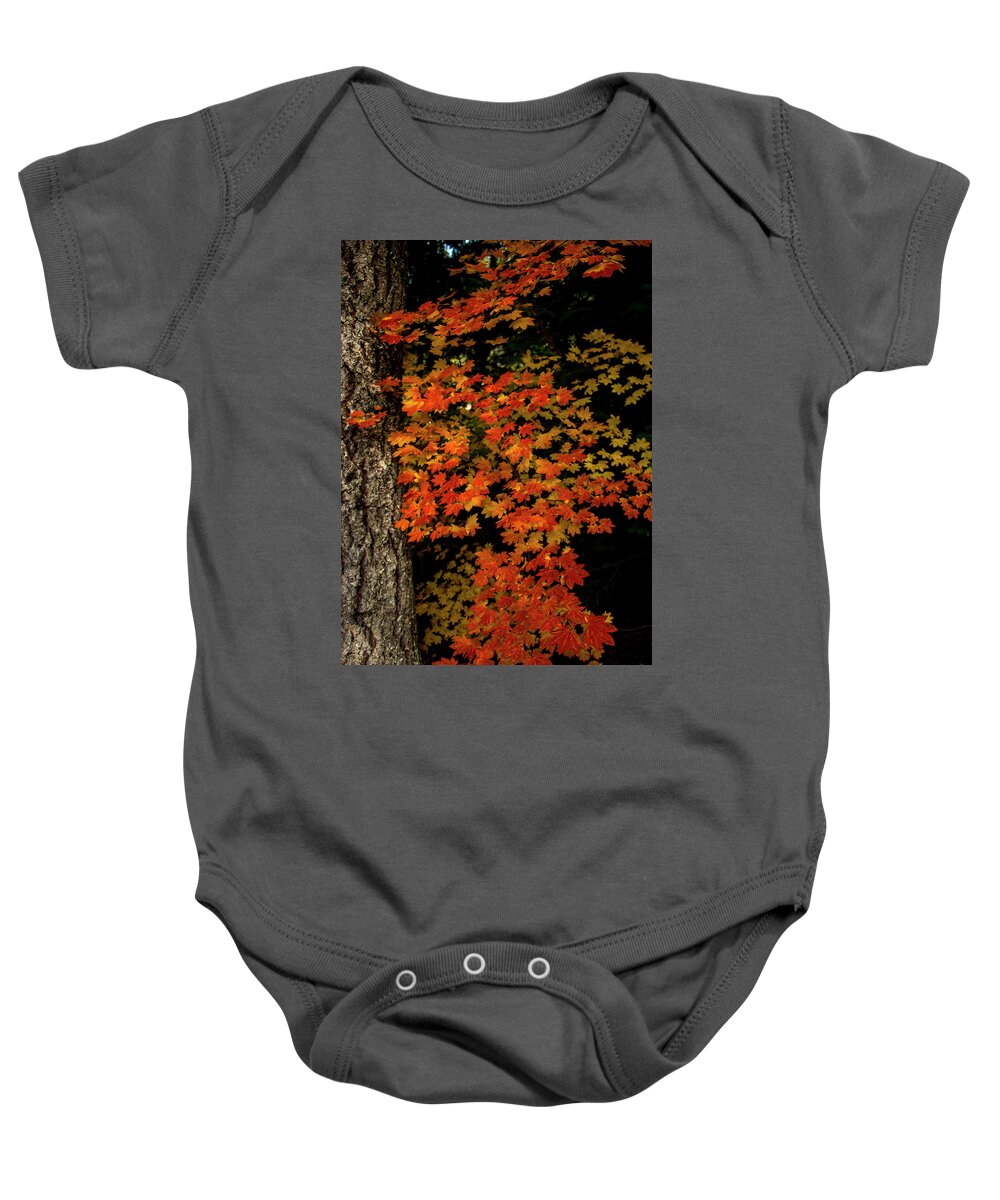 Vertical Baby Onesie featuring the photograph Autumn Leaves by Doug Scrima