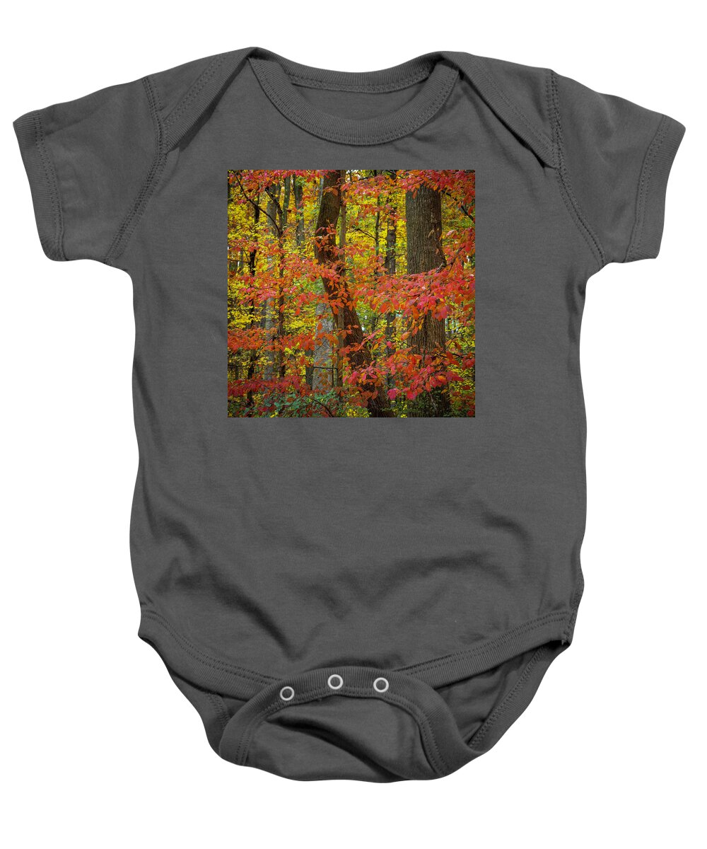 Autumn Baby Onesie featuring the photograph Autumn Leaves II by Norman Reid
