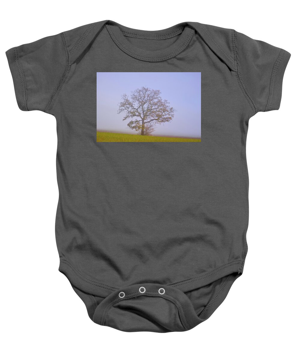 Landscape Baby Onesie featuring the photograph Autumn mist by Karine GADRE