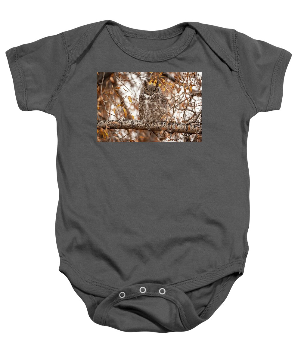 Great-horned Owl Baby Onesie featuring the photograph Autumn owl by D Robert Franz