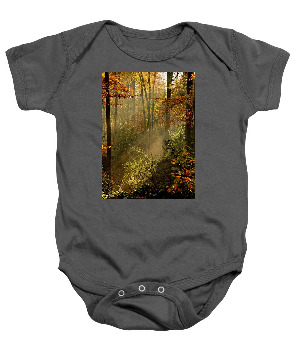 November Baby Onesie featuring the photograph Autumn Rays 2021 by Richard Cummings