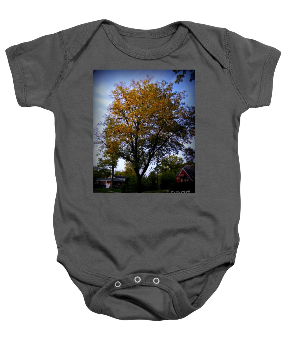 Nature Baby Onesie featuring the photograph Autumn Trees Morning Sun Golden Hour by Frank J Casella