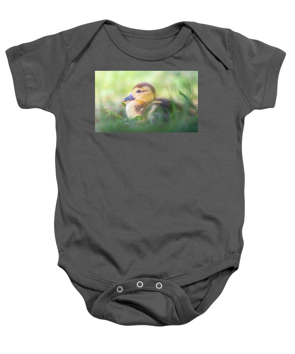 Brown Duckling Baby Onesie featuring the photograph Baby Duckling In The Weeds by Jordan Hill