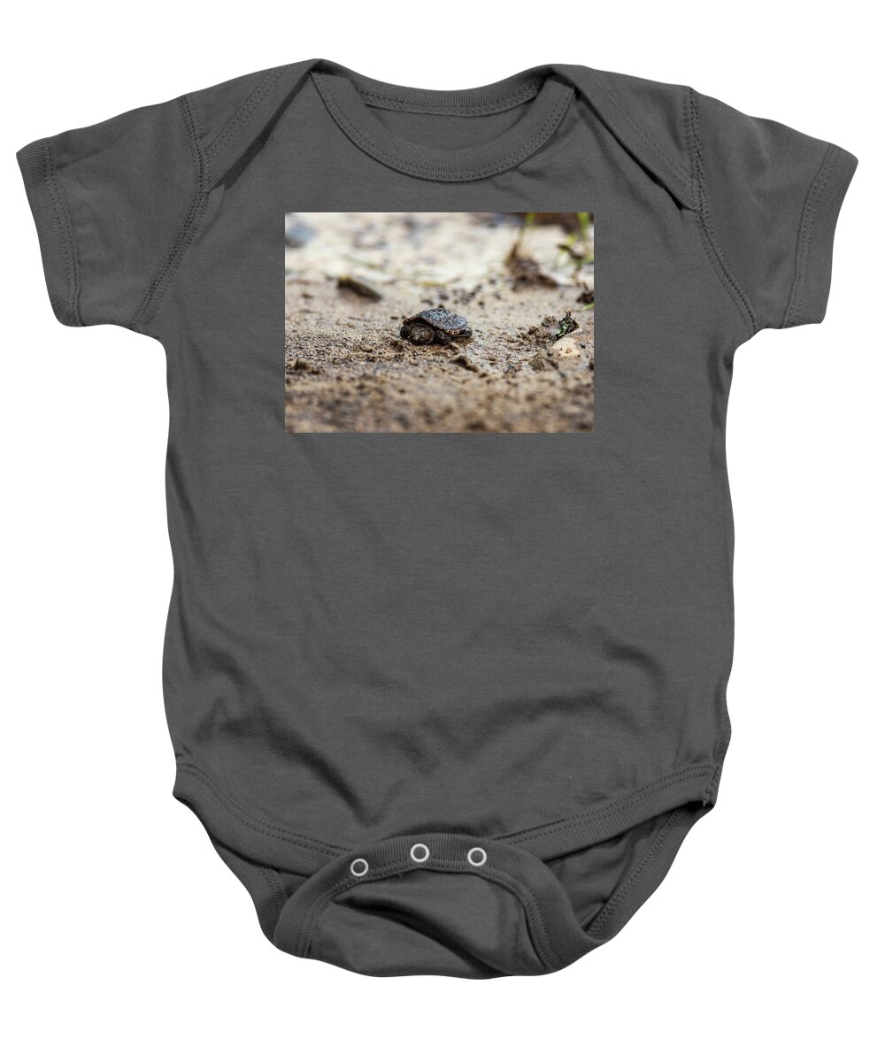 Animal Baby Onesie featuring the photograph Baby Turtle by Amelia Pearn