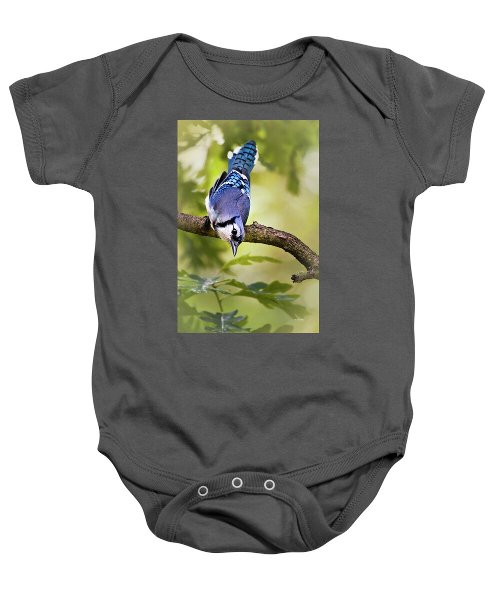 Blue Jay Baby Onesie featuring the photograph Balanced Blue Jay by Christina Rollo