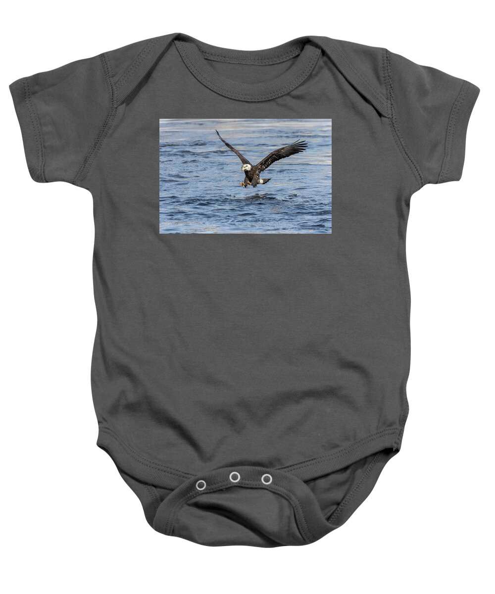 American Bald Eagle Baby Onesie featuring the photograph Bald Eagle 2019-15 by Thomas Young