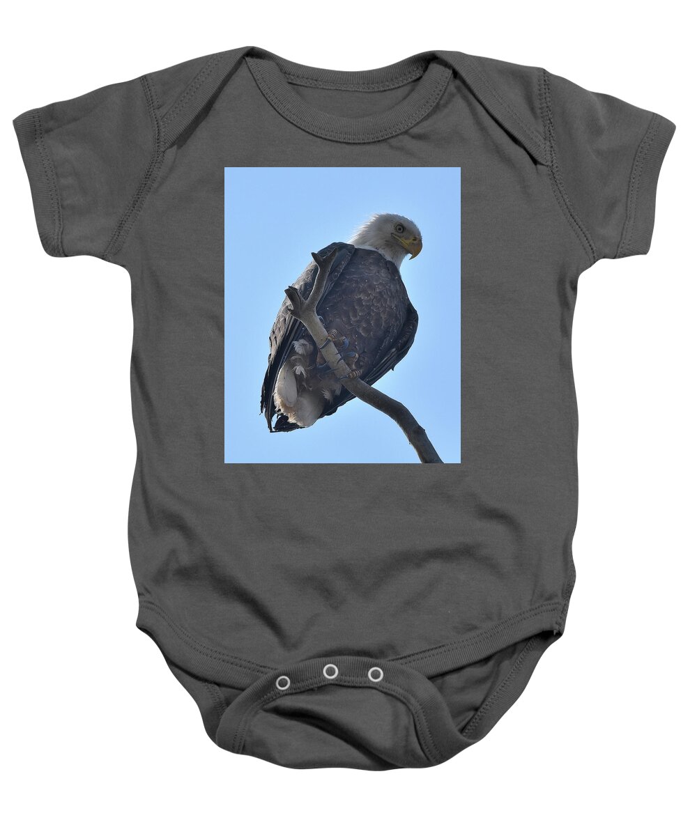 Eagle Baby Onesie featuring the photograph Bald Eagle Perch by Ben Foster