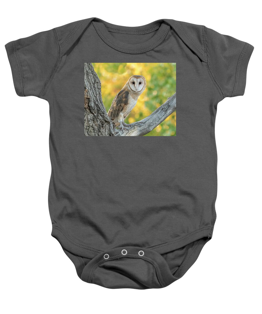 Owls Baby Onesie featuring the photograph Barn Owl in Yellow Leaves by Dawn Key