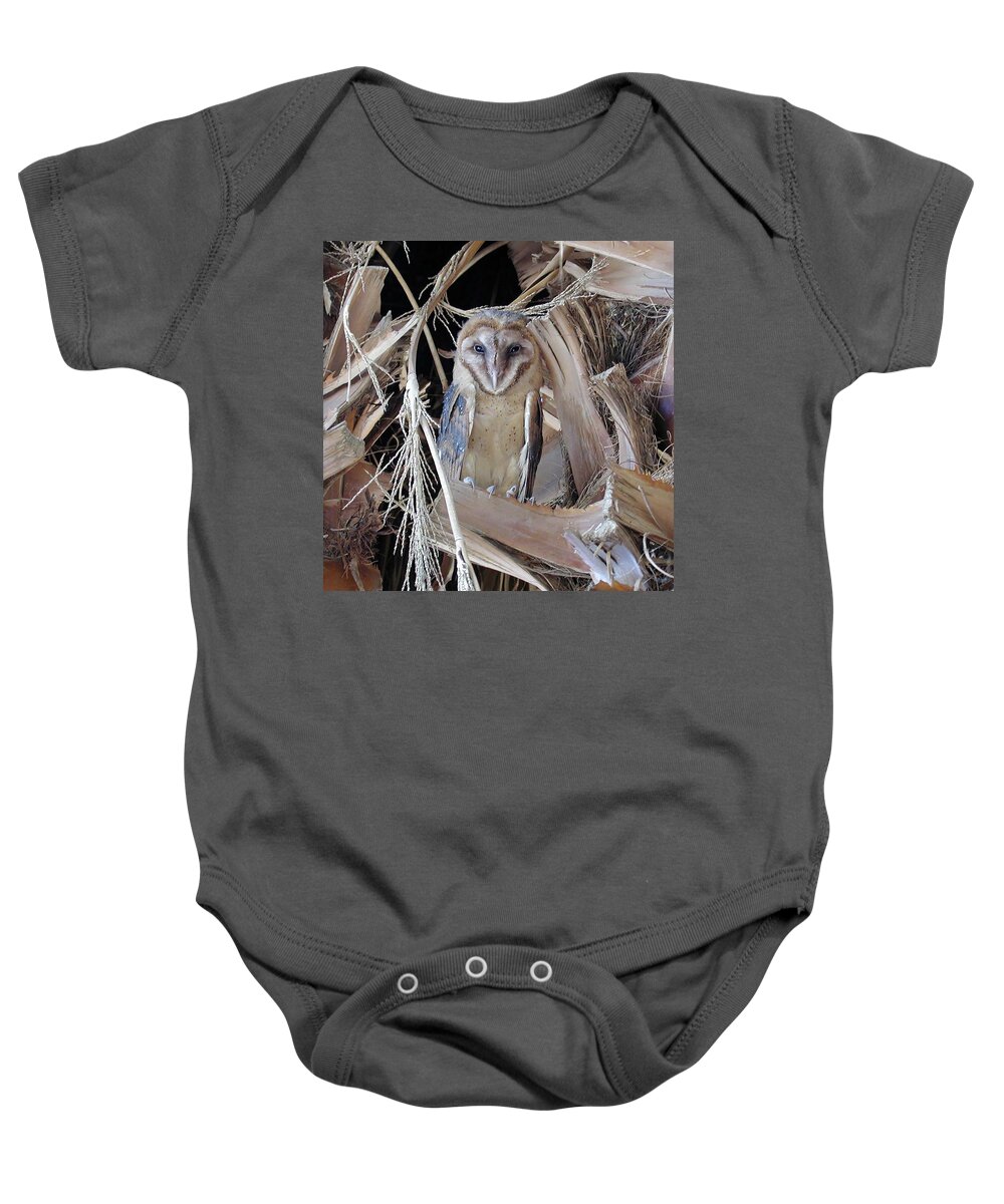 Barn Owl Baby Onesie featuring the photograph Barn Owl by Perry Hoffman