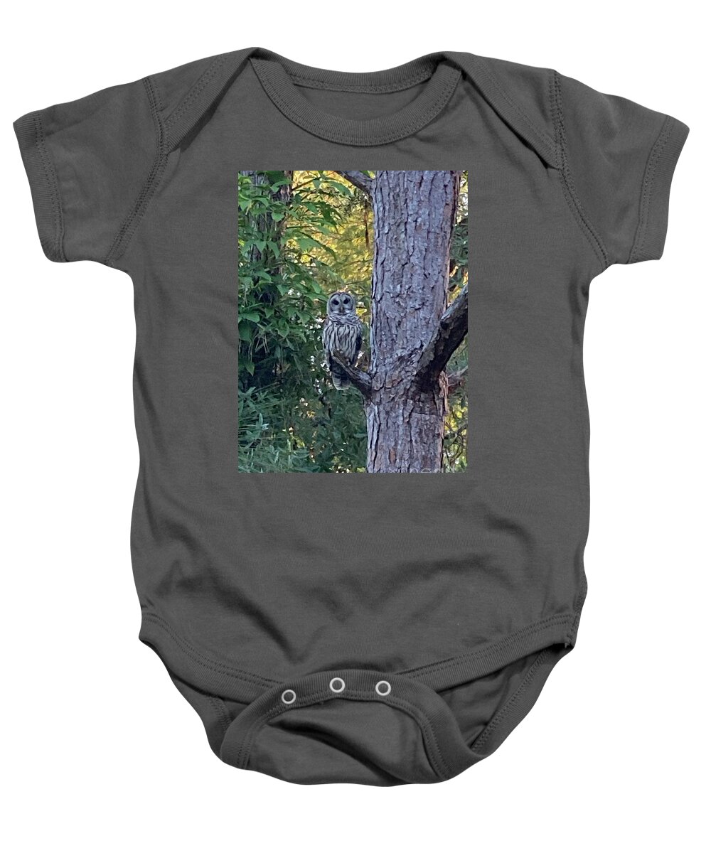 Owl Baby Onesie featuring the photograph Barred Owl by Barbara Von Pagel