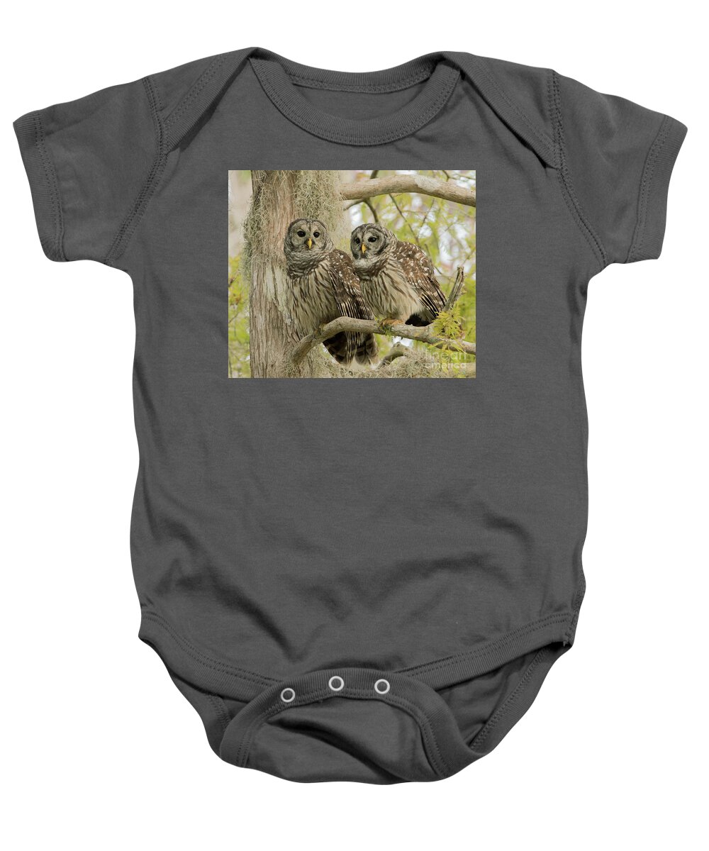 Ron Bielefeld Baby Onesie featuring the photograph Barred Owl Pair by Ron Bielefeld