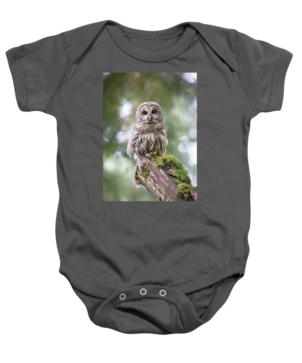 Barred Owl Baby Onesie featuring the photograph Barred Owl Stare by Michael Rauwolf