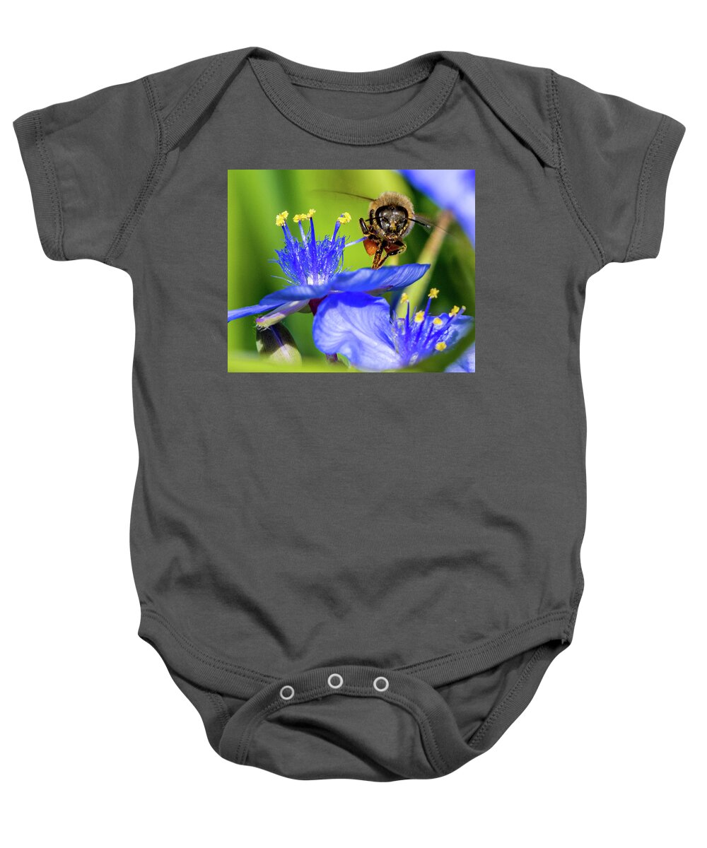Bee Face Baby Onesie featuring the photograph Bee Face by Pamela McDaniel