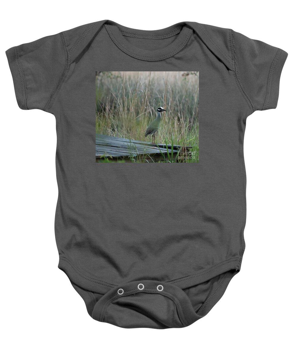 Yellow Crowned Night Heron Baby Onesie featuring the photograph Bird Haven - Yellow Crowned Night Heron by Dale Powell