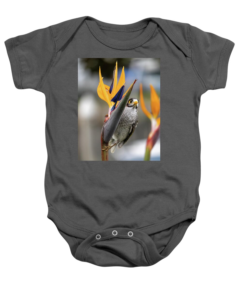 Floral Baby Onesie featuring the photograph Bird of Paradise and a Noisy Miner by Rick Nelson