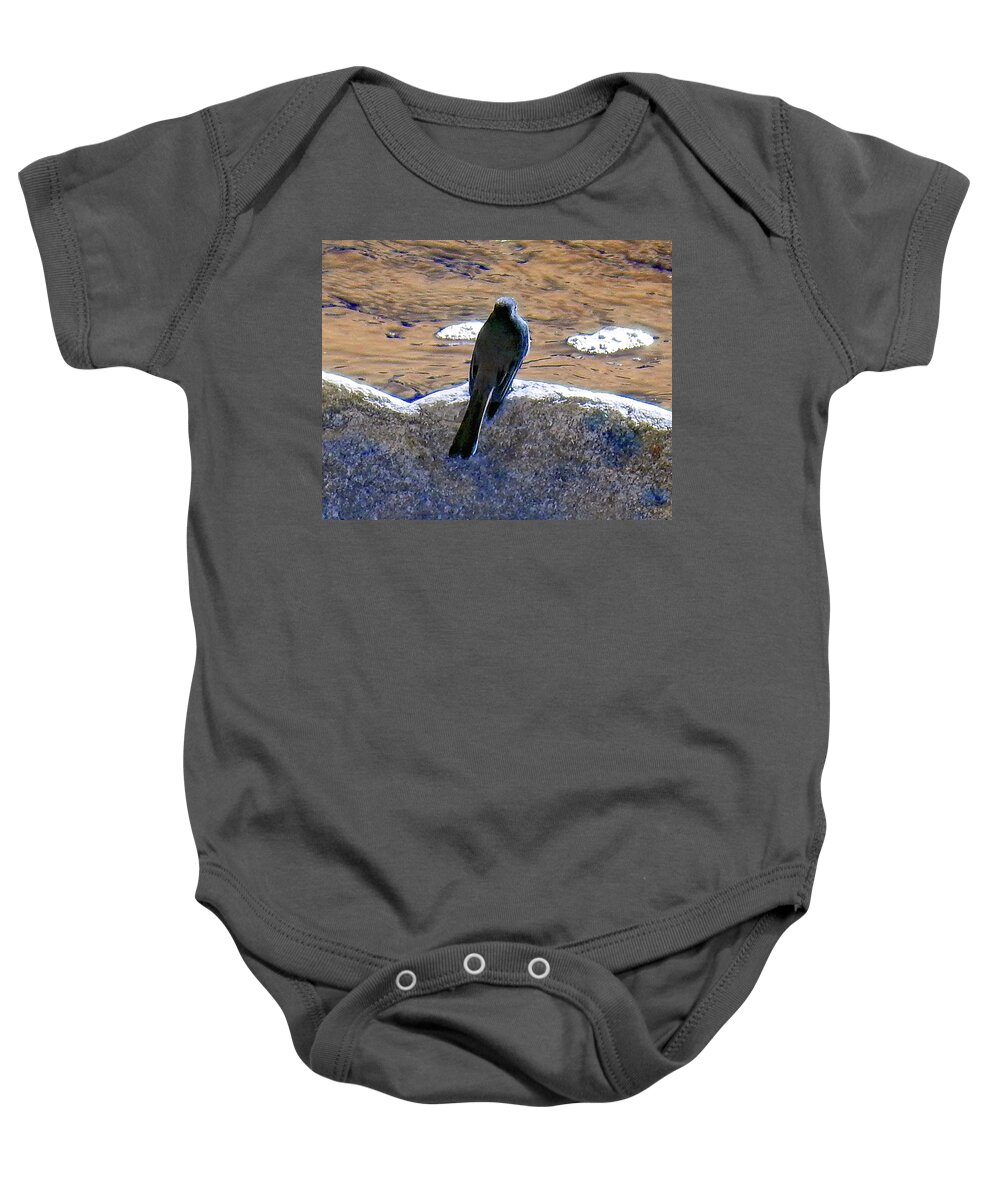 Bird Baby Onesie featuring the photograph Bird On A Boulder by Andrew Lawrence