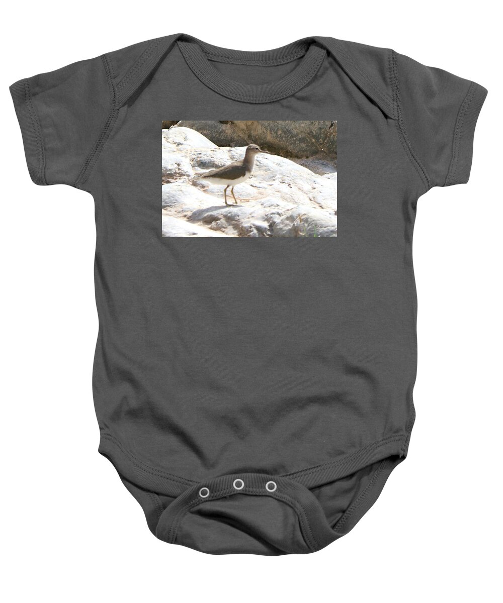  Baby Onesie featuring the photograph Birds 69 by Eric Pengelly