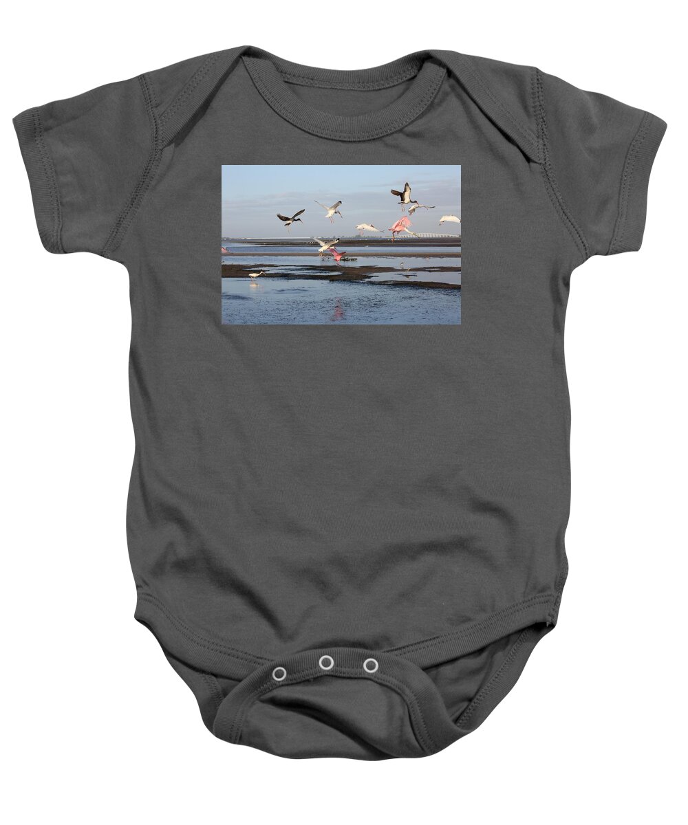 Birds Baby Onesie featuring the photograph Birds in Flight by Mingming Jiang