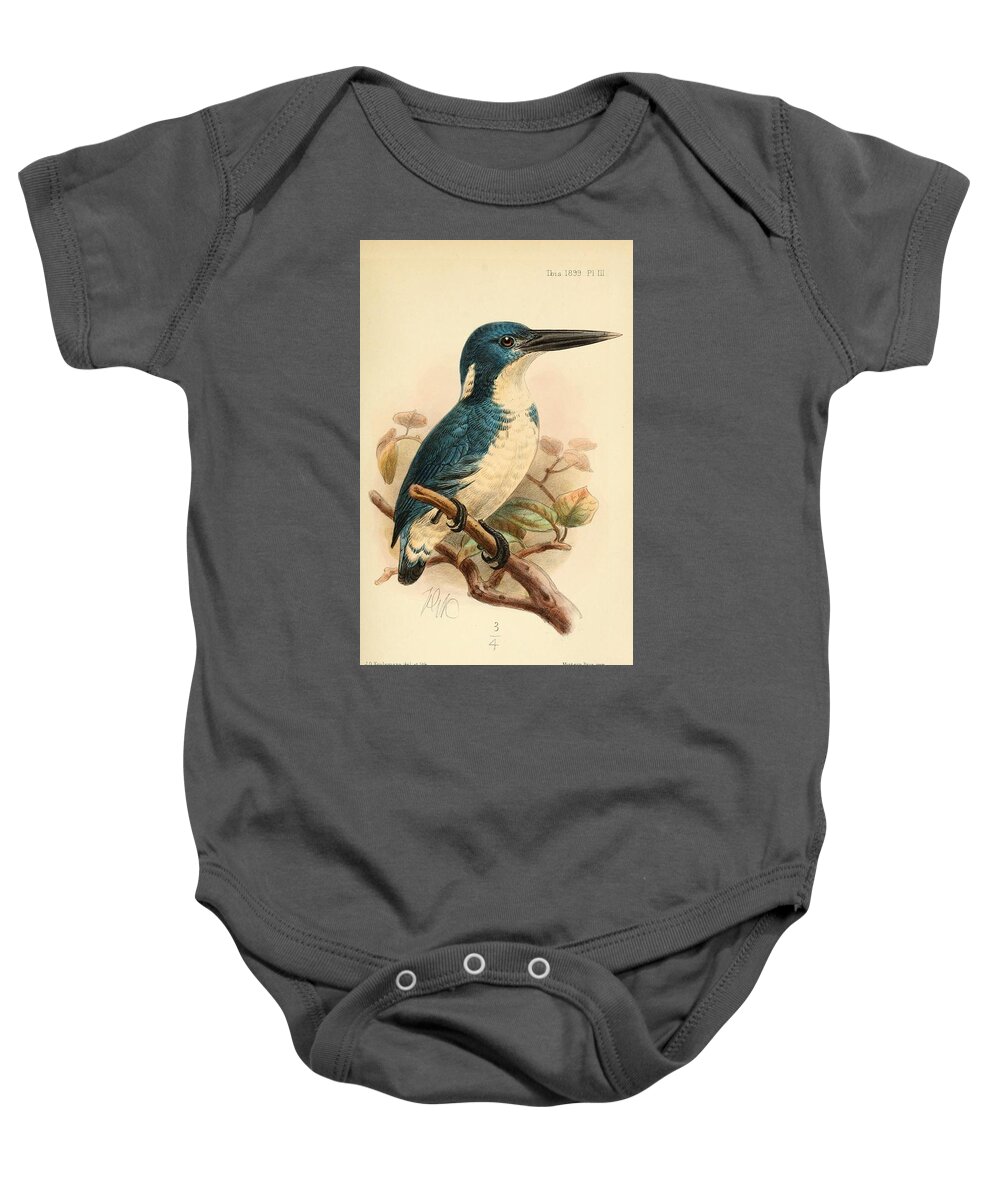 Bird Baby Onesie featuring the mixed media Bismarck Kingfisher, alcyone websteri by World Art Collective