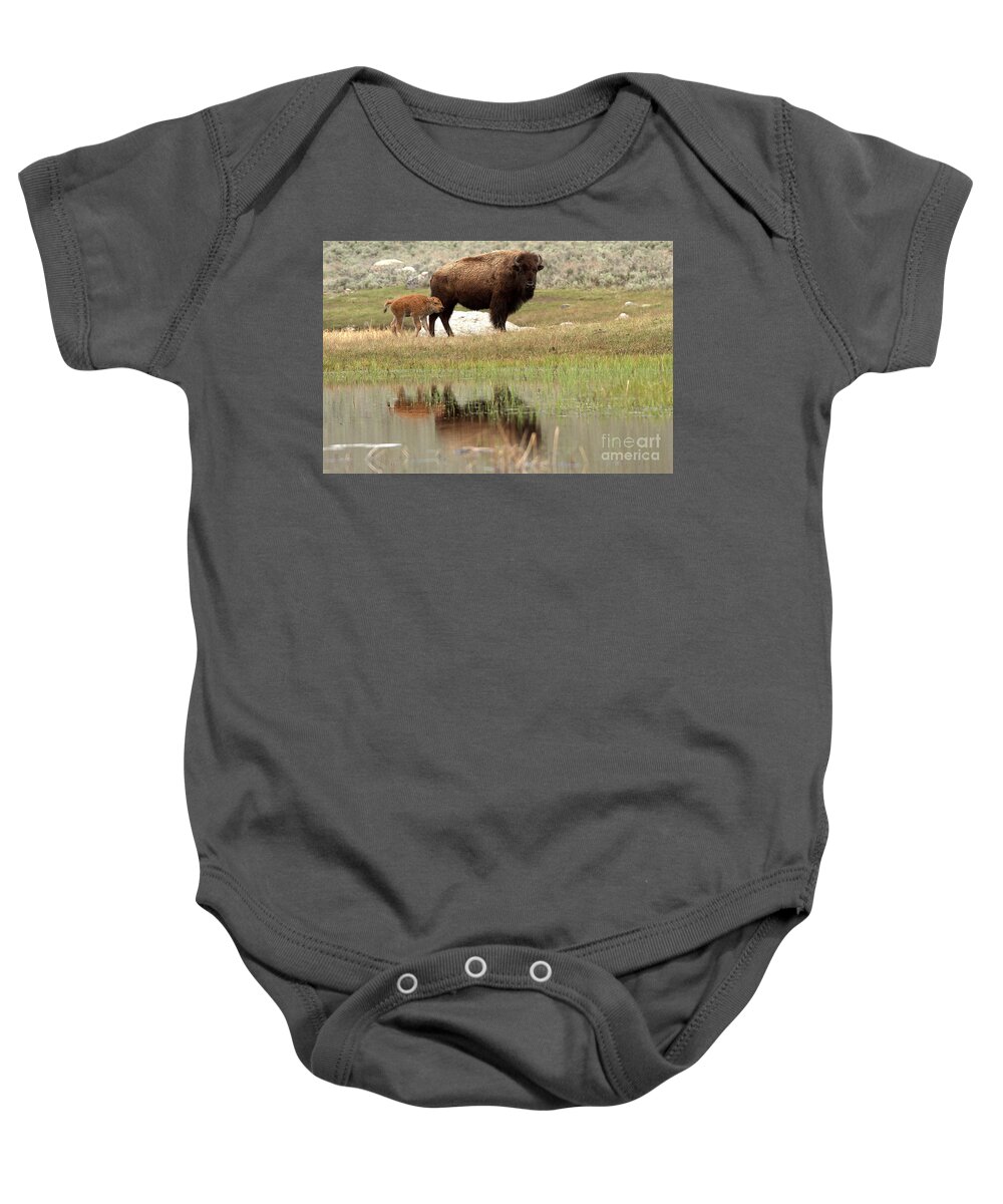Yellowstone Baby Onesie featuring the photograph Bison Red Dog With A Wary Eye by Adam Jewell