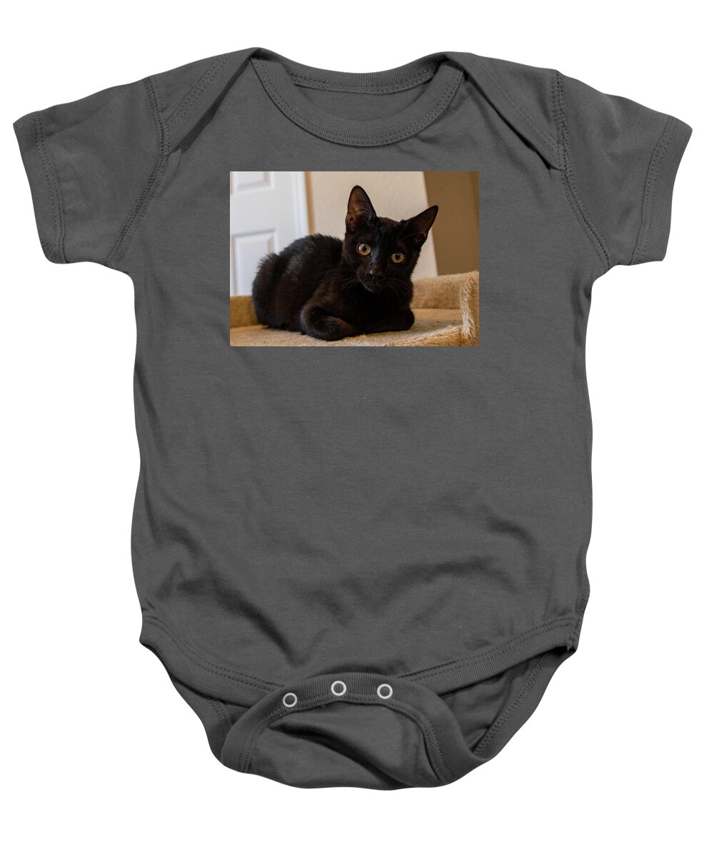 Cat Baby Onesie featuring the photograph Black Cat by Dart Humeston