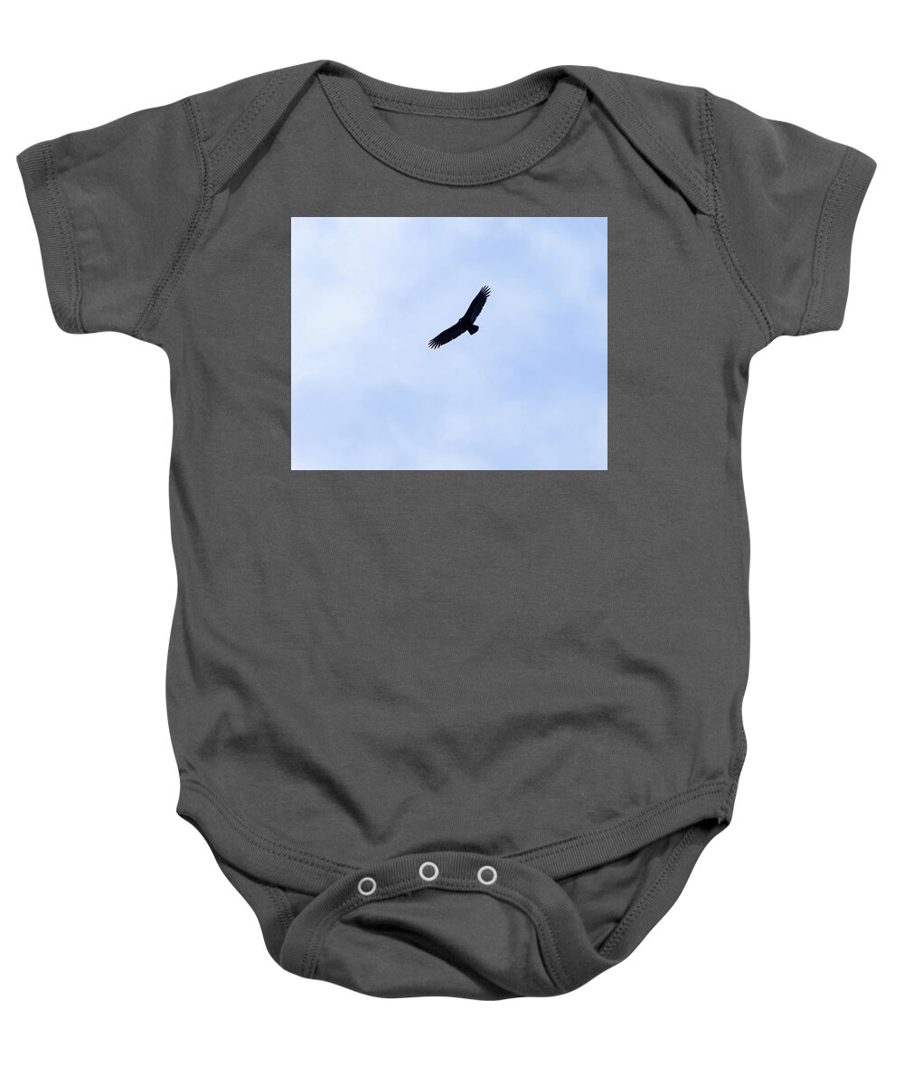 Black Vulture Baby Onesie featuring the photograph Black Vulture In Flight 01 by Flees Photos