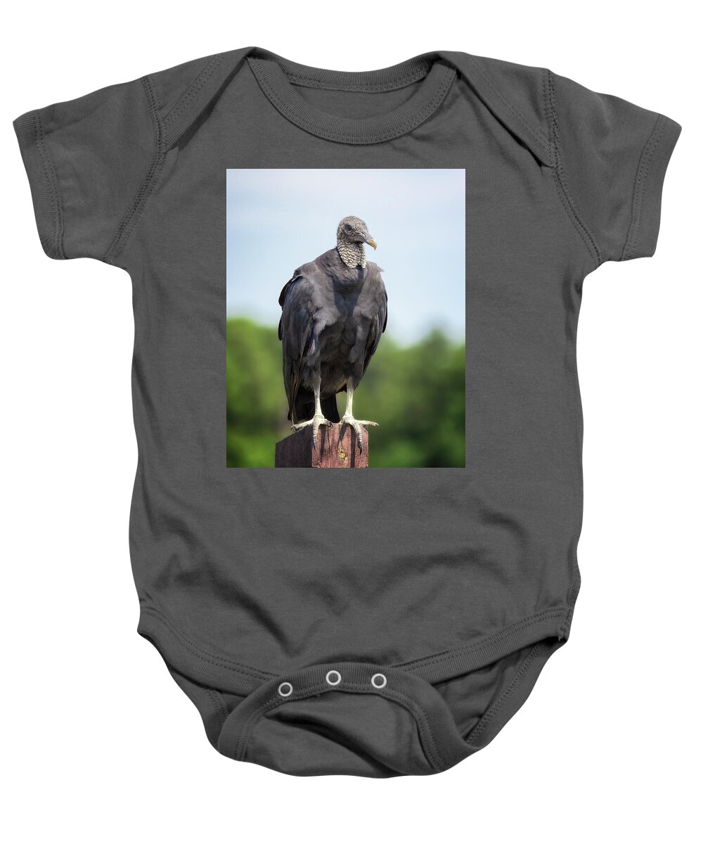 Black Vulture Baby Onesie featuring the photograph Black Vulture by Susan Rissi Tregoning