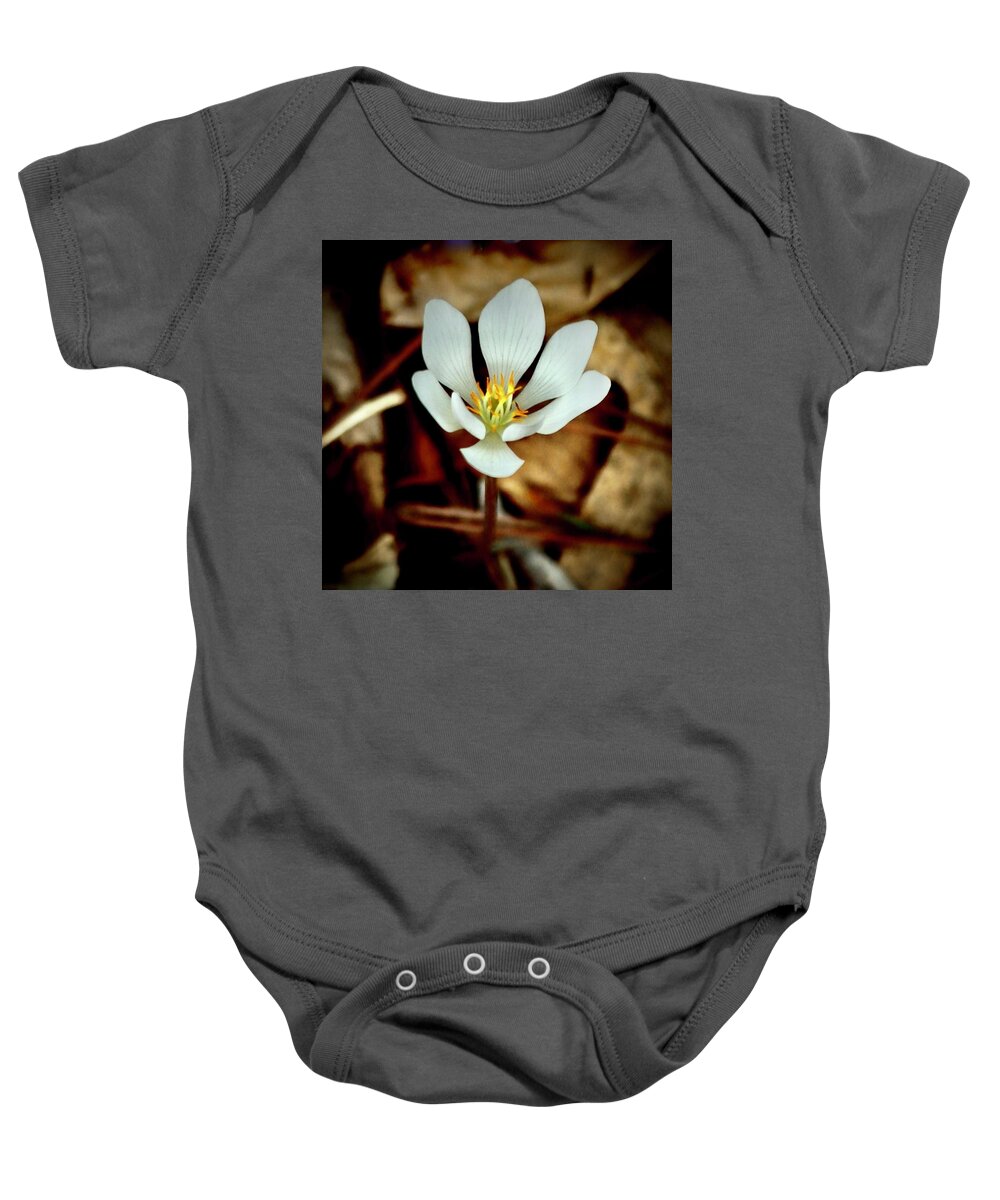 Bloodroot Baby Onesie featuring the photograph Bloodroot by Sarah Lilja