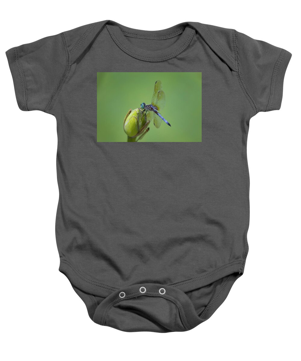 Dragonfly Baby Onesie featuring the photograph Blue Dragon by Ray Congrove