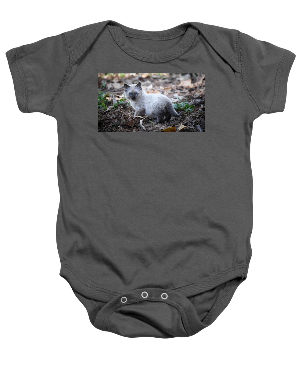 Kitten Baby Onesie featuring the photograph Blue Eyes by DArcy Evans