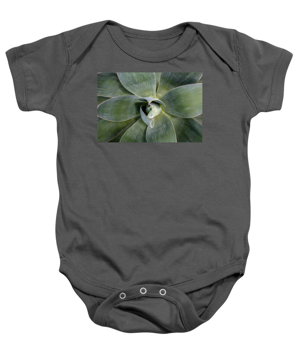 Agave Baby Onesie featuring the photograph Blue Flame Agave by Alison Frank