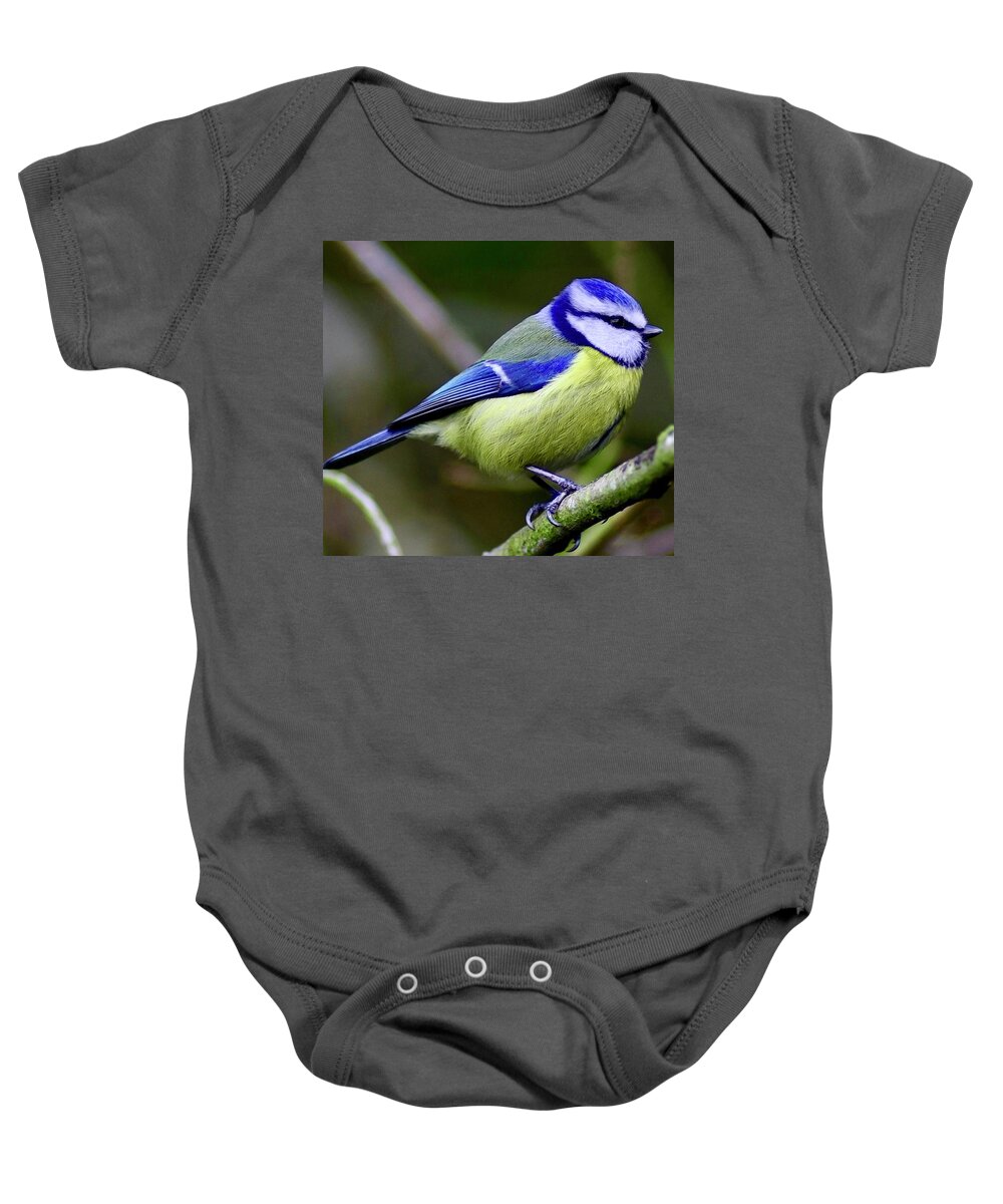 Blue Tit Baby Onesie featuring the photograph Blue Tit by Neil R Finlay