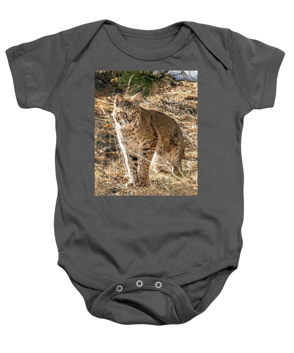 Bobcat Baby Onesie featuring the photograph Bobcat in Winter Grasses by Dawn Key