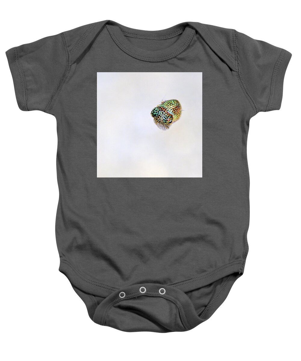 White Baby Onesie featuring the photograph Bobtail squid by Artesub