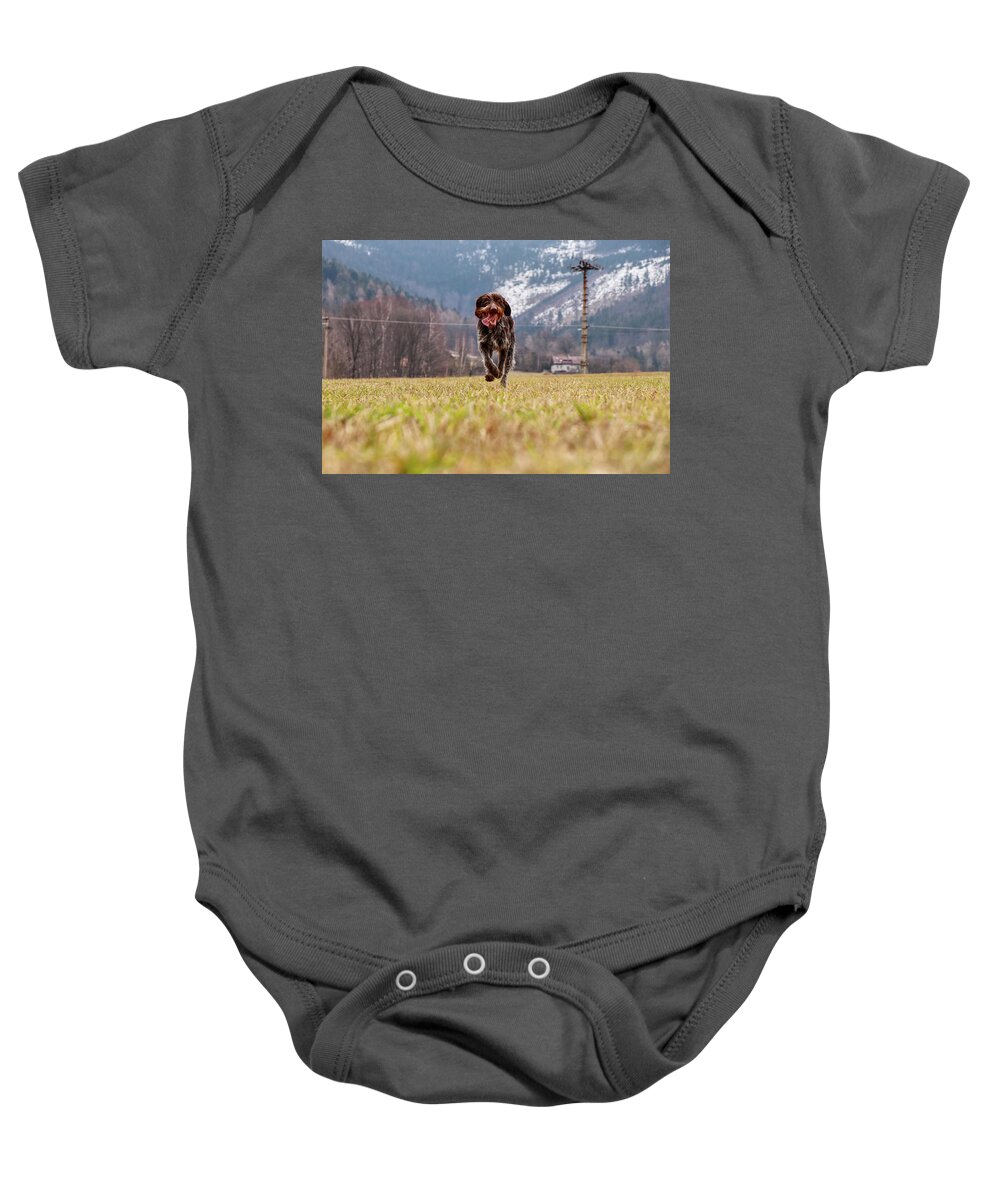 Bohemian Wire Baby Onesie featuring the photograph Bohemian Wire Haired Pointing Griffon running towards to me for some food. She jumps and runs to me for my order. by Vaclav Sonnek