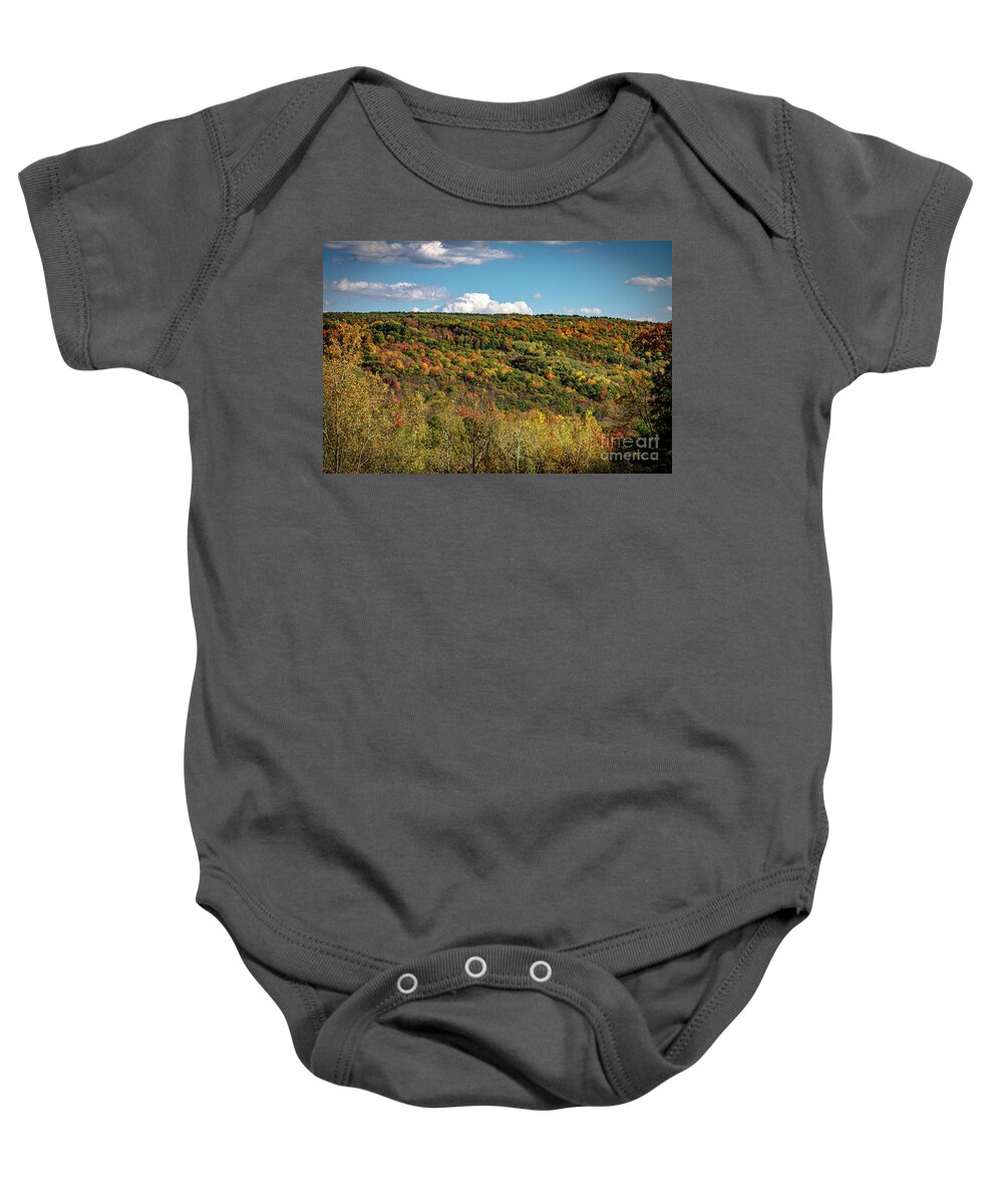 Nature Baby Onesie featuring the photograph Botsford Nature Preserve 44 by William Norton