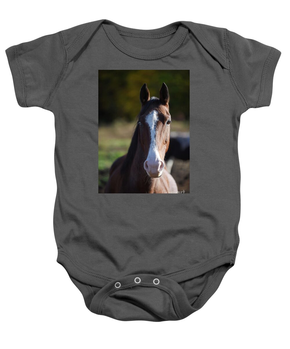 Rosemary Farm Baby Onesie featuring the photograph Bowie by Carien Schippers
