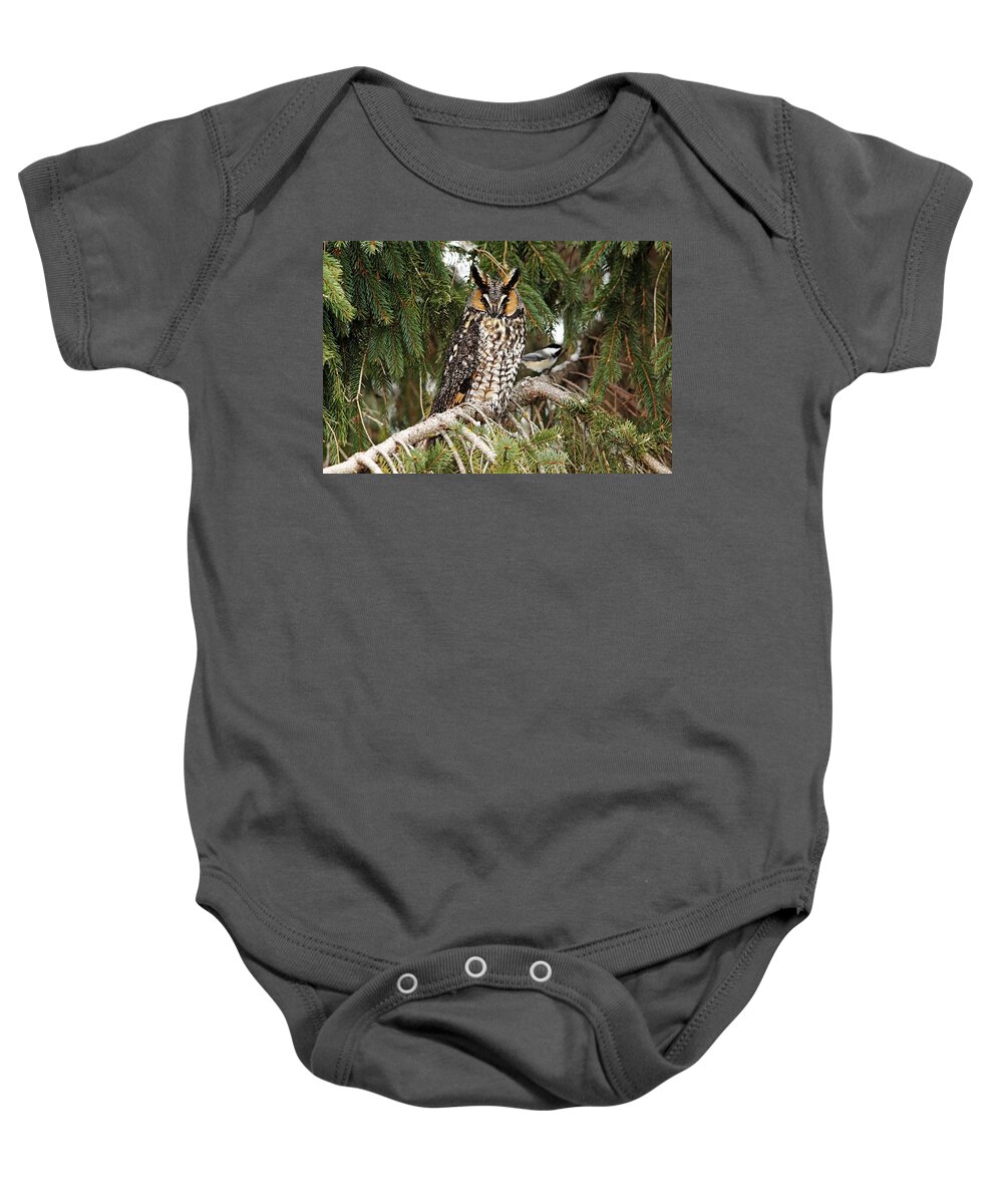 Owl Baby Onesie featuring the photograph Brave Chickadee by Debbie Oppermann