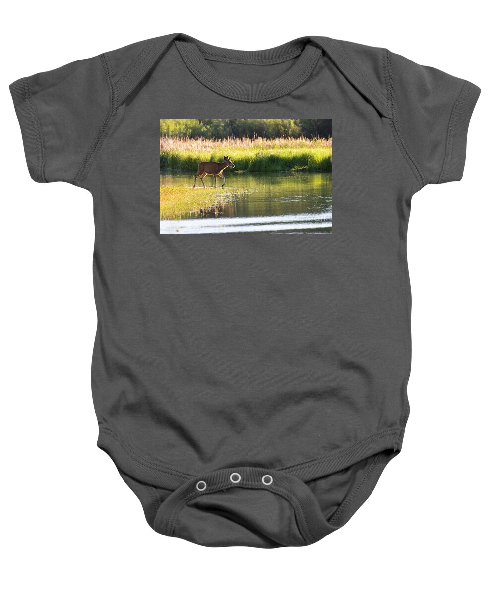 Deer Baby Onesie featuring the photograph Buck on Waters Edge by Steven Krull