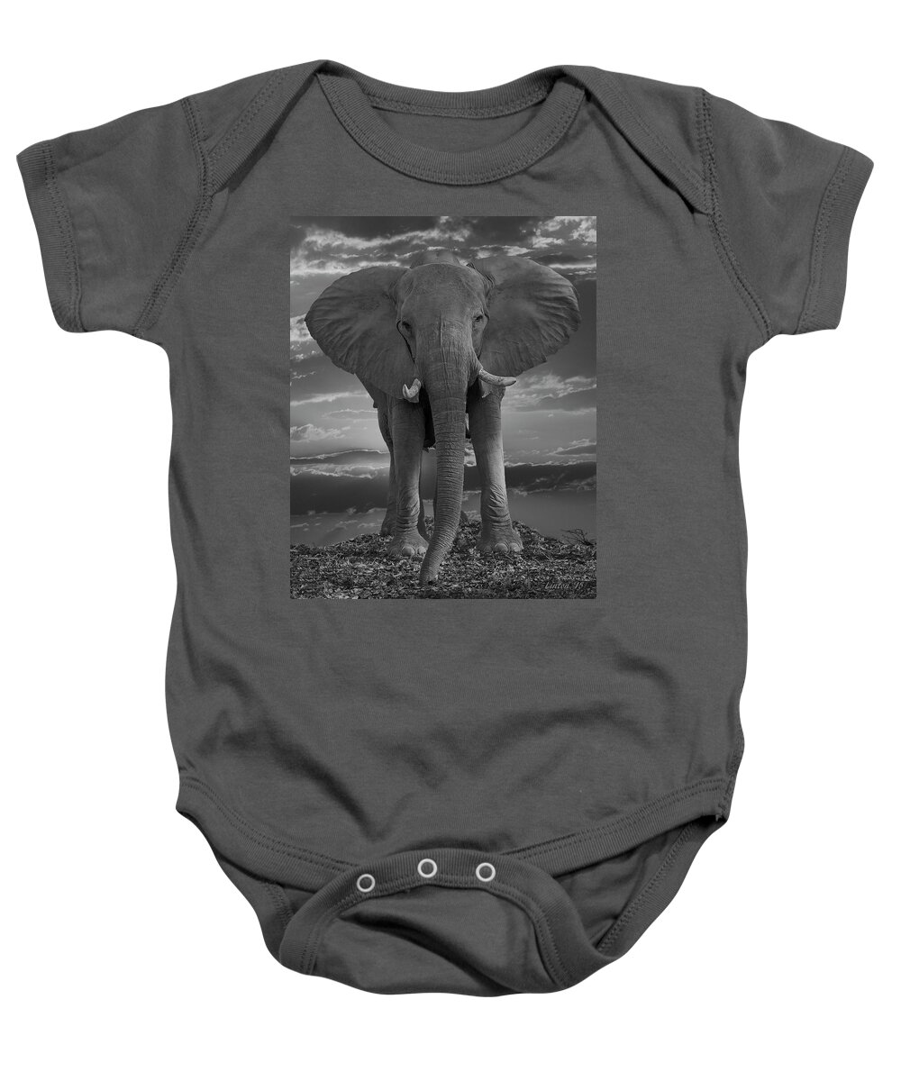 Elephant Baby Onesie featuring the photograph Bull Elephant by Larry Linton