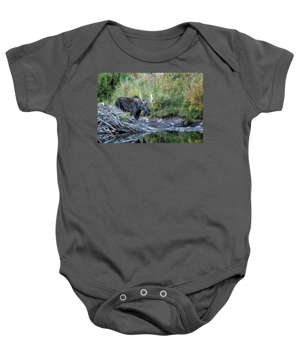 Bull Baby Onesie featuring the photograph Bull Moose near the Beaver's Lodge at Maroon Lake, No. 1 by Belinda Greb