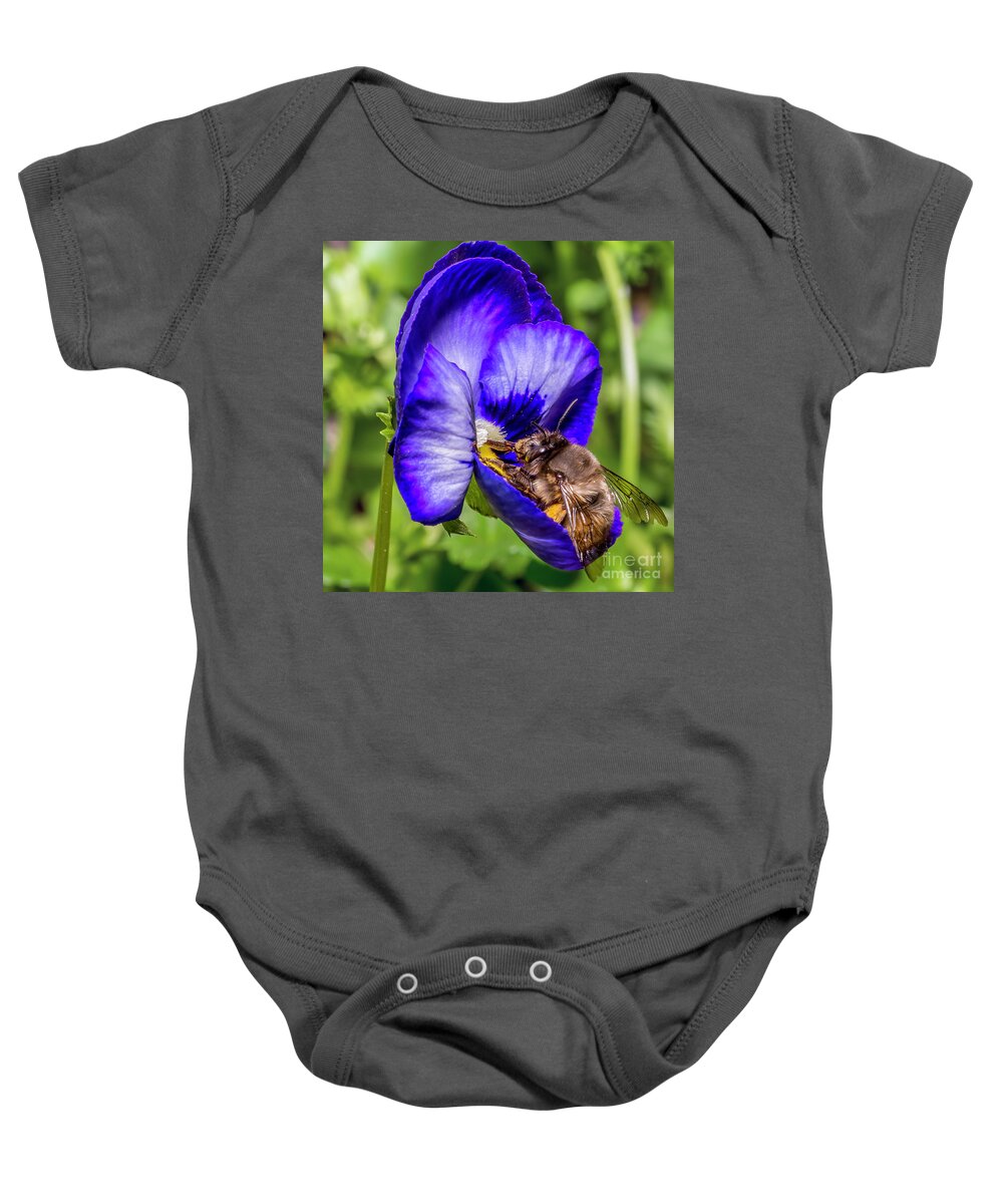 Bumble Baby Onesie featuring the photograph Bumble Bee On A Blue Flower by Gemma Mae Flores Sellers