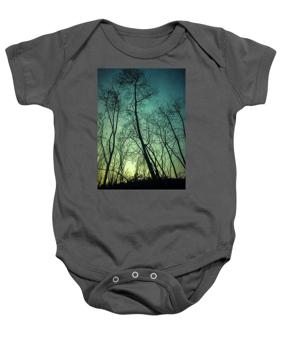 Trees Baby Onesie featuring the photograph Burnt Forest Trees by Carlos Caetano