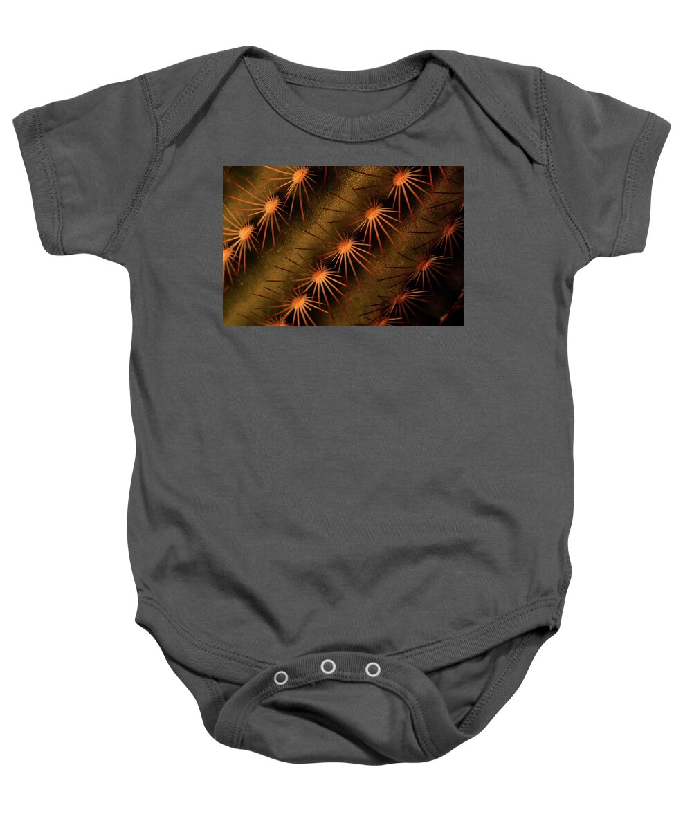 Art Baby Onesie featuring the photograph Cactus 9521 by Julie Powell