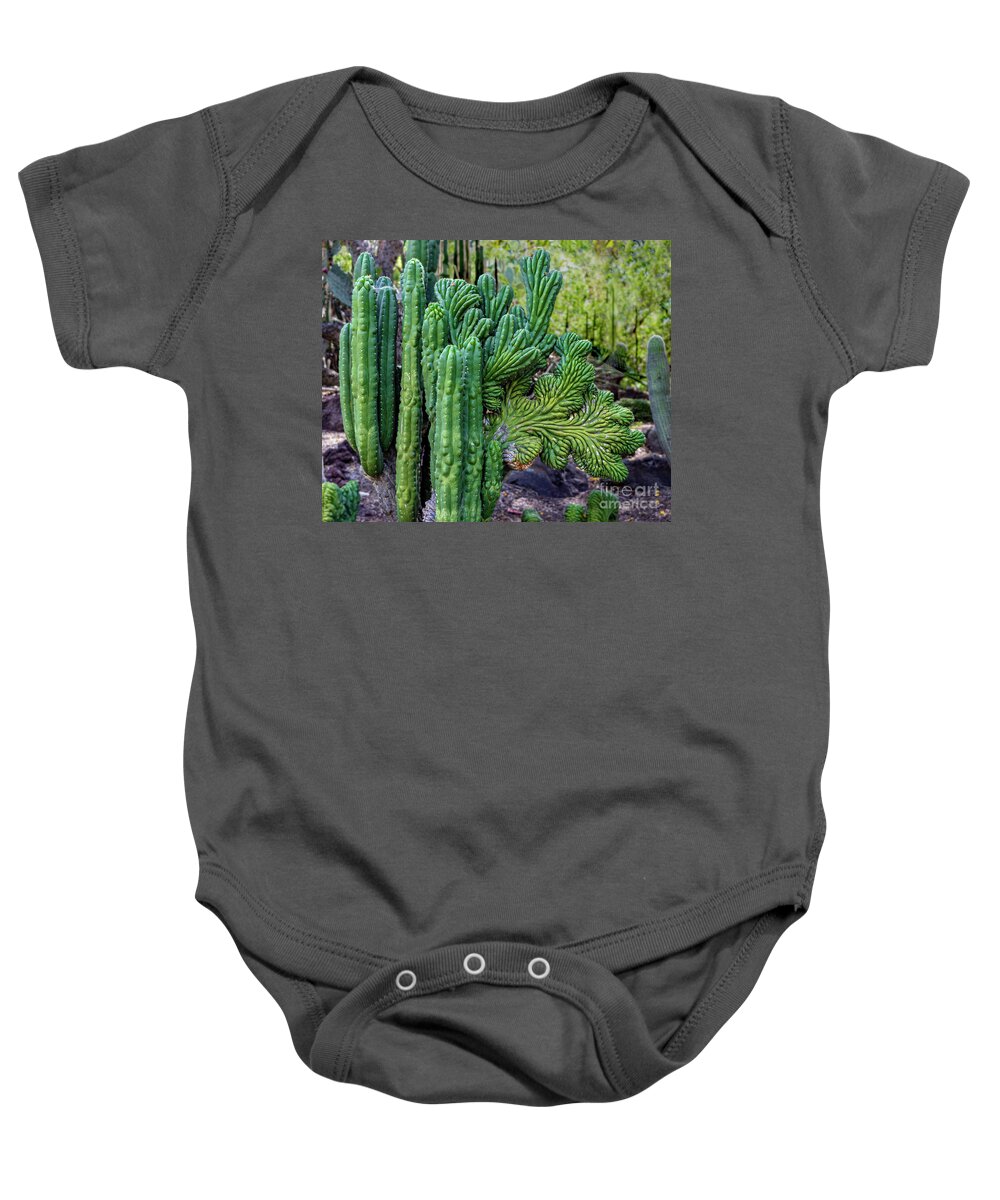 Cactus Baby Onesie featuring the photograph Cactus Waving at You by Roslyn Wilkins