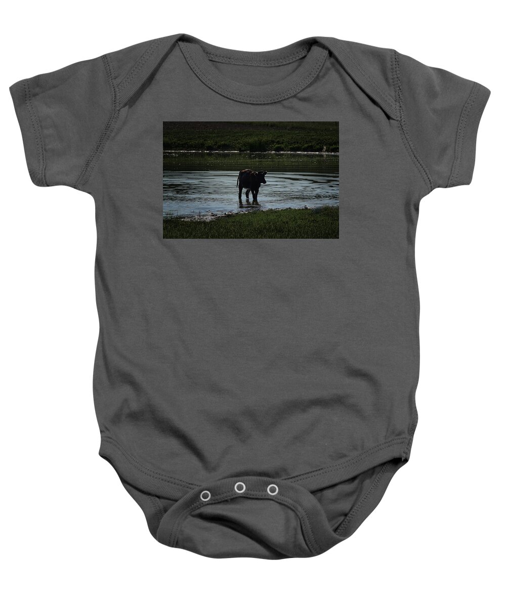 Cow Baby Onesie featuring the photograph Calf in pond by Ernest Echols