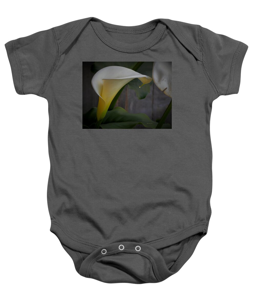 Botanical Baby Onesie featuring the photograph Calla Winter by Richard Thomas