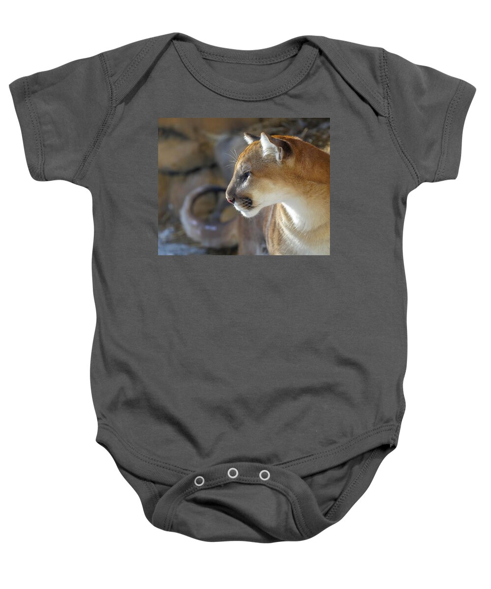 Africa Baby Onesie featuring the photograph Calm Cougar  by Susan Rydberg