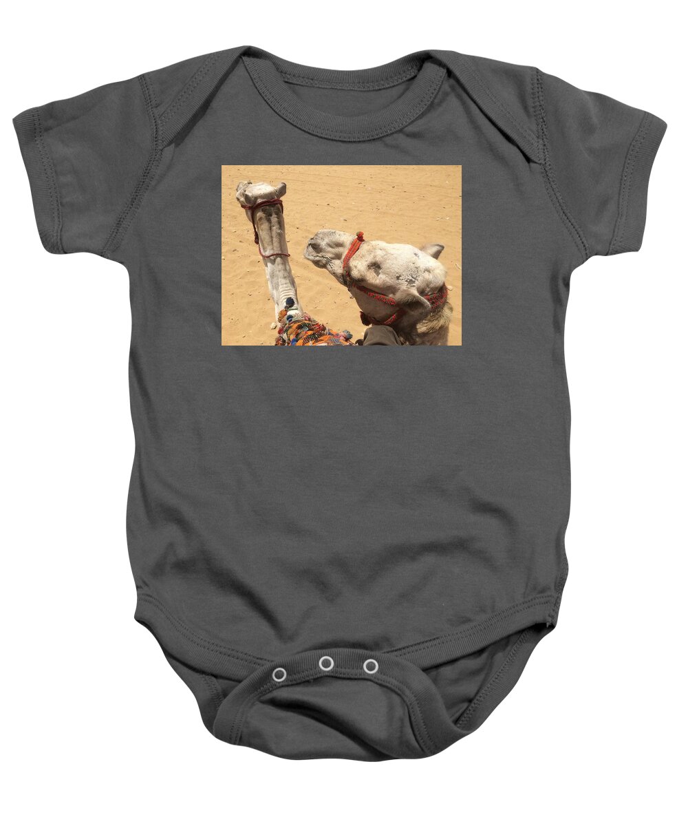 Giza Baby Onesie featuring the photograph Camels of Giza by Trevor Grassi