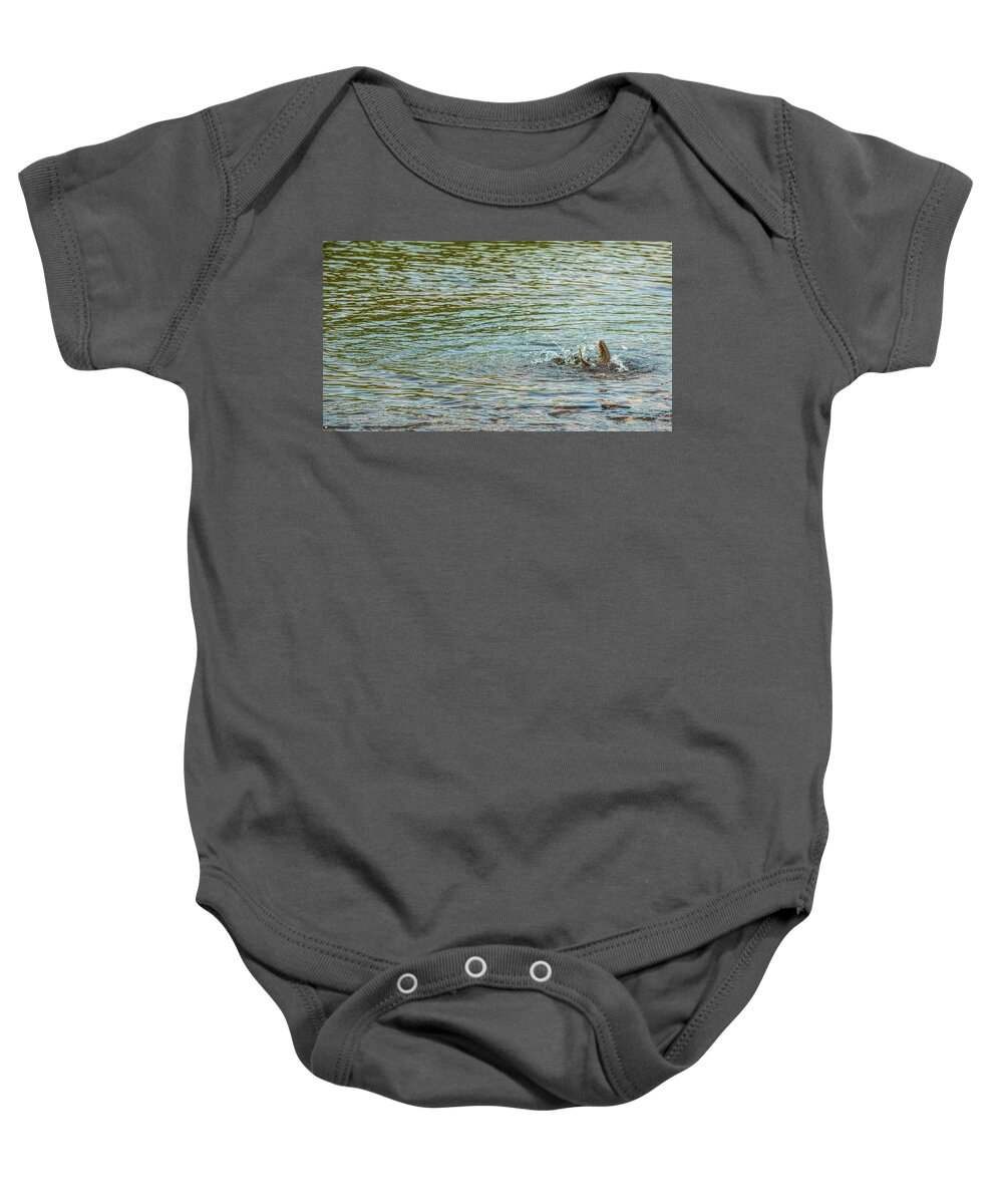 Fly Fishing Baby Onesie featuring the photograph Catch and Release by Pamela Dunn-Parrish